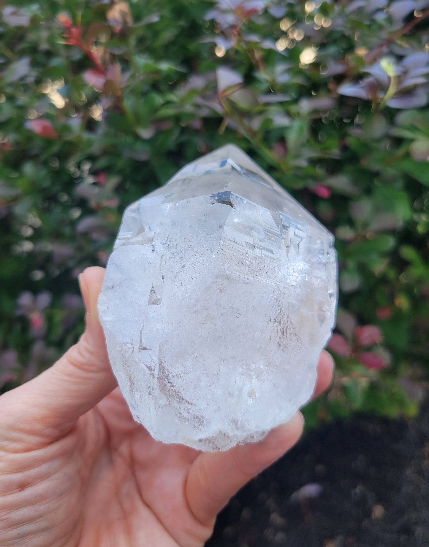 Himalayan Cathedral Quartz Point from Himachal Pradesh, India