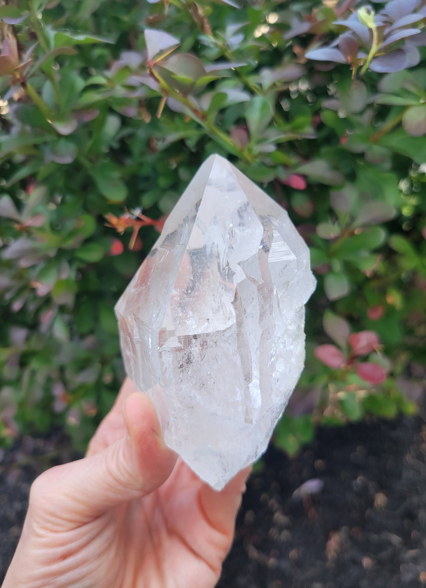 Himalayan Cathedral Quartz Point from Himachal Pradesh, India