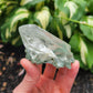 Himalayan Cathedral Quartz Cluster with Clinochlore Phantom from Himachal Pradesh, India