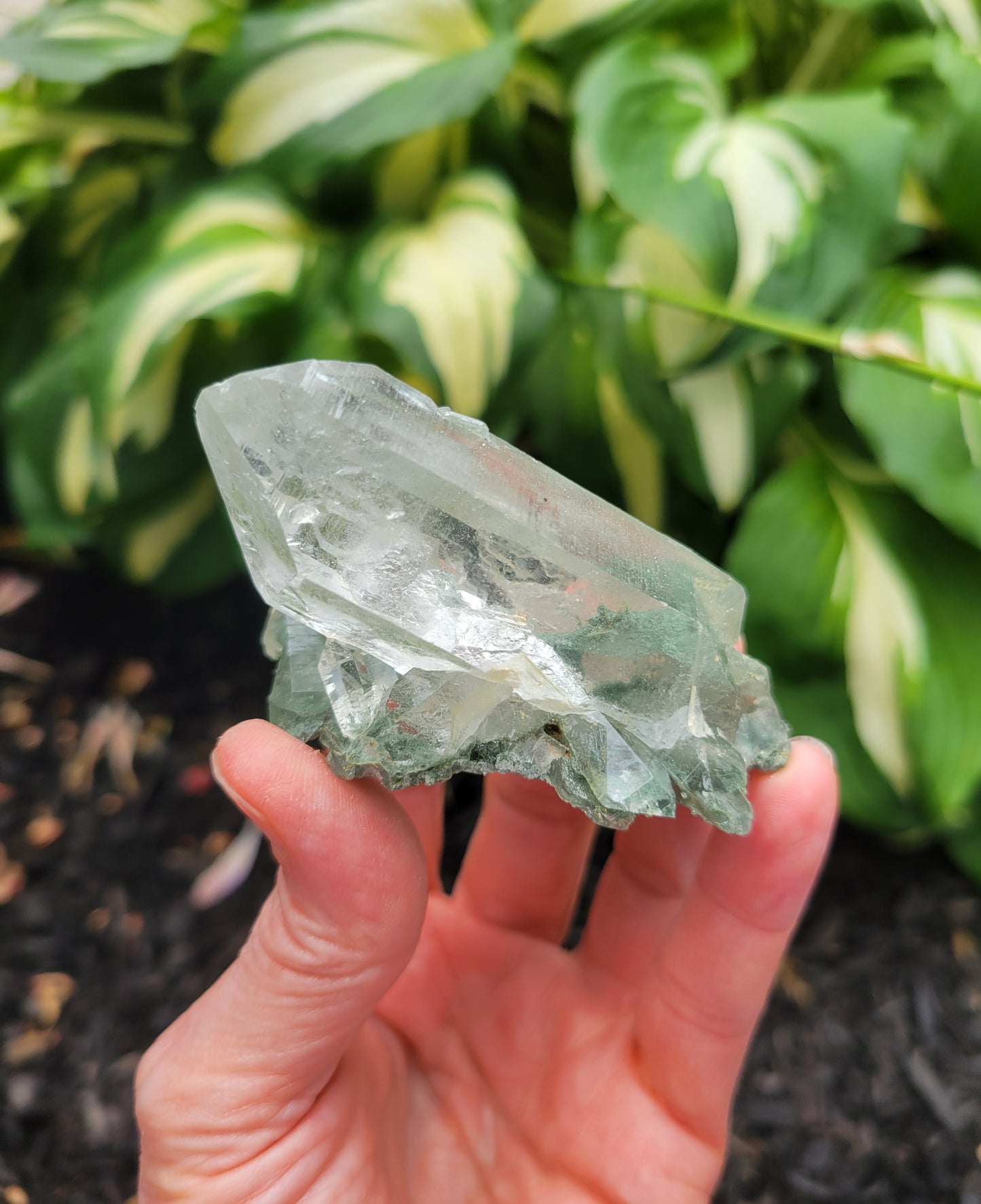 Himalayan Cathedral Quartz Cluster with Clinochlore Phantom from Himachal Pradesh, India