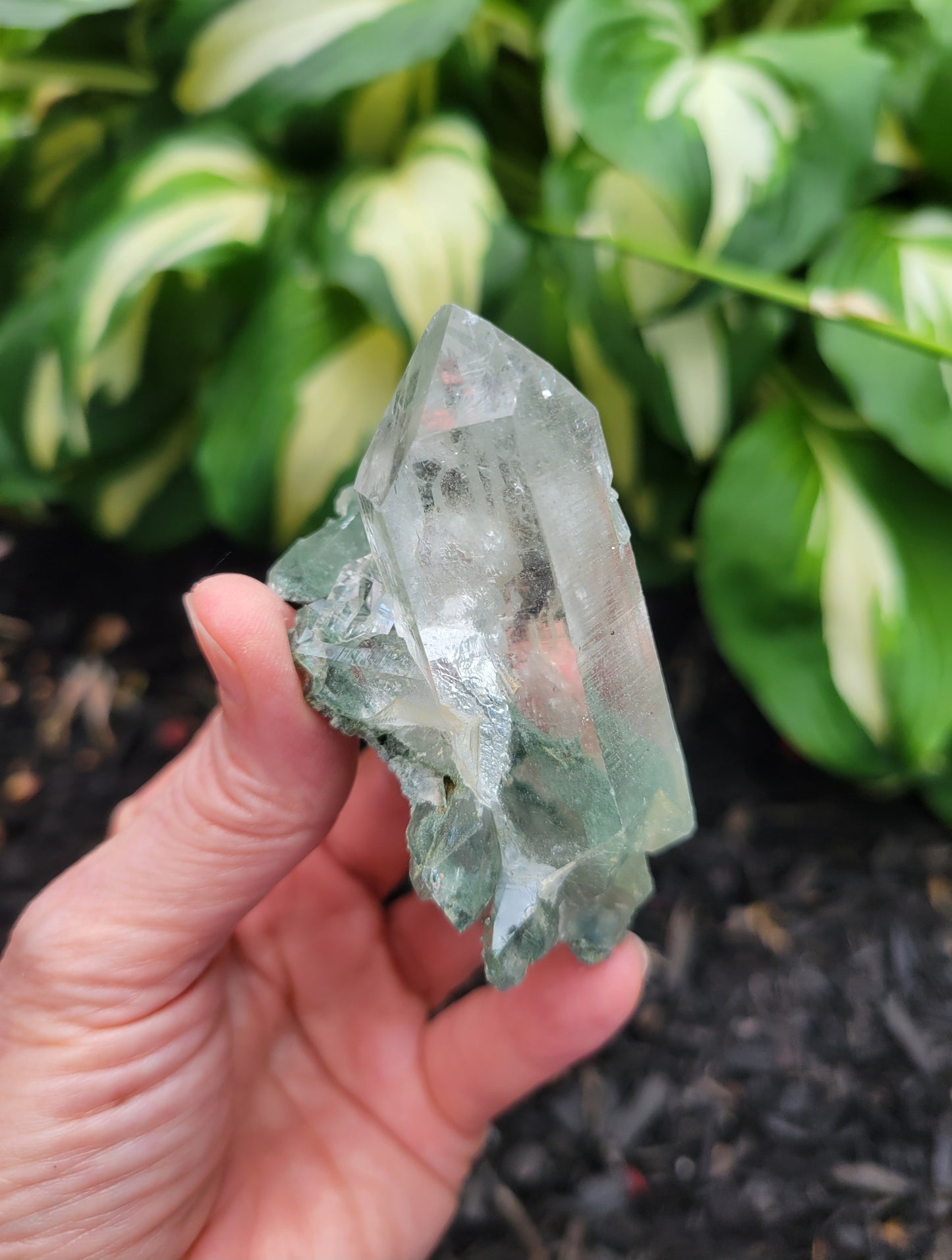 Himalayan Cathedral Quartz Cluster with Clinochlore Phantom from Himachal Pradesh, India