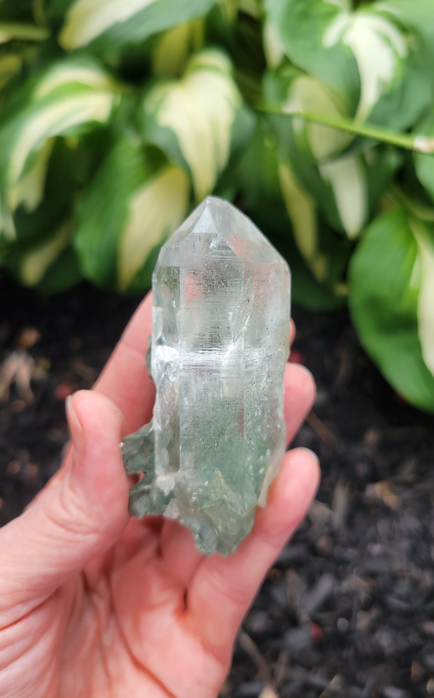 Himalayan Cathedral Quartz Cluster with Clinochlore Phantom from Himachal Pradesh, India