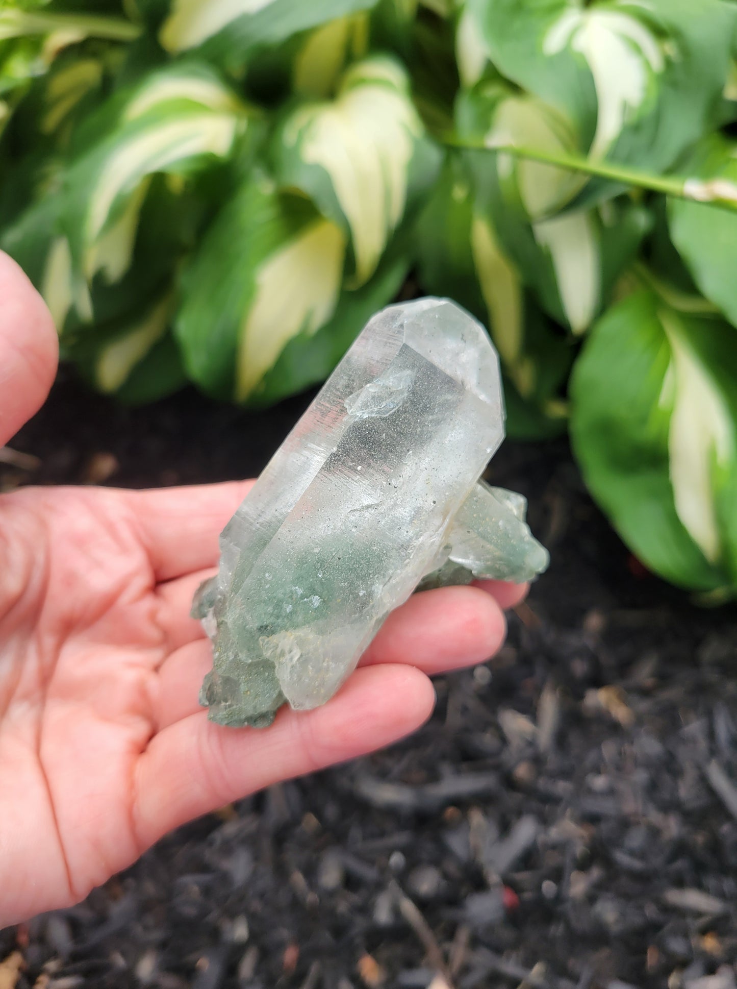 Himalayan Cathedral Quartz Cluster with Clinochlore Phantom from Himachal Pradesh, India