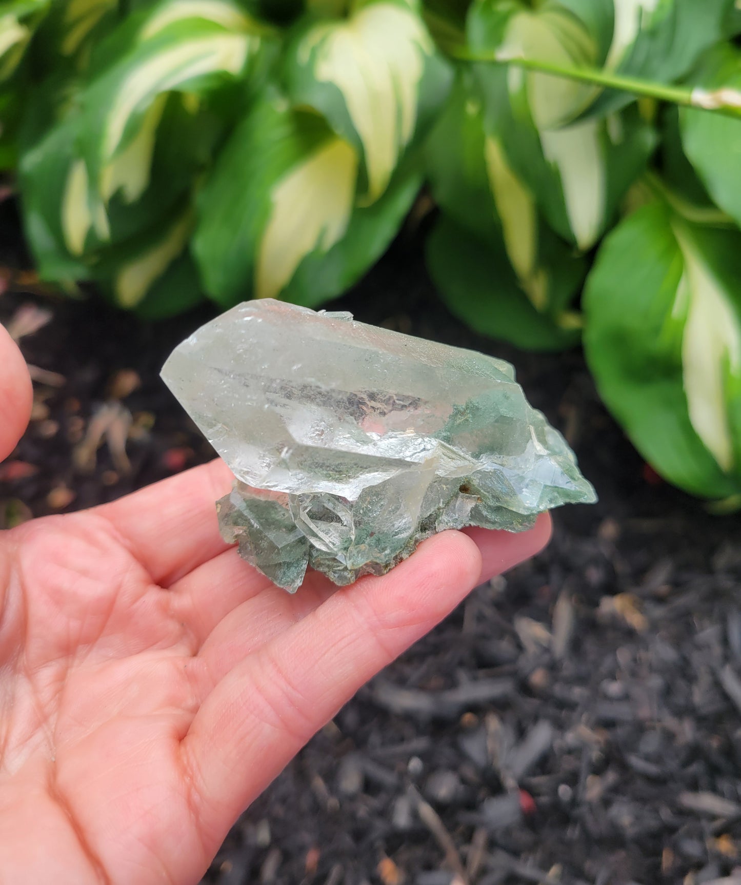 Himalayan Cathedral Quartz Cluster with Clinochlore Phantom from Himachal Pradesh, India