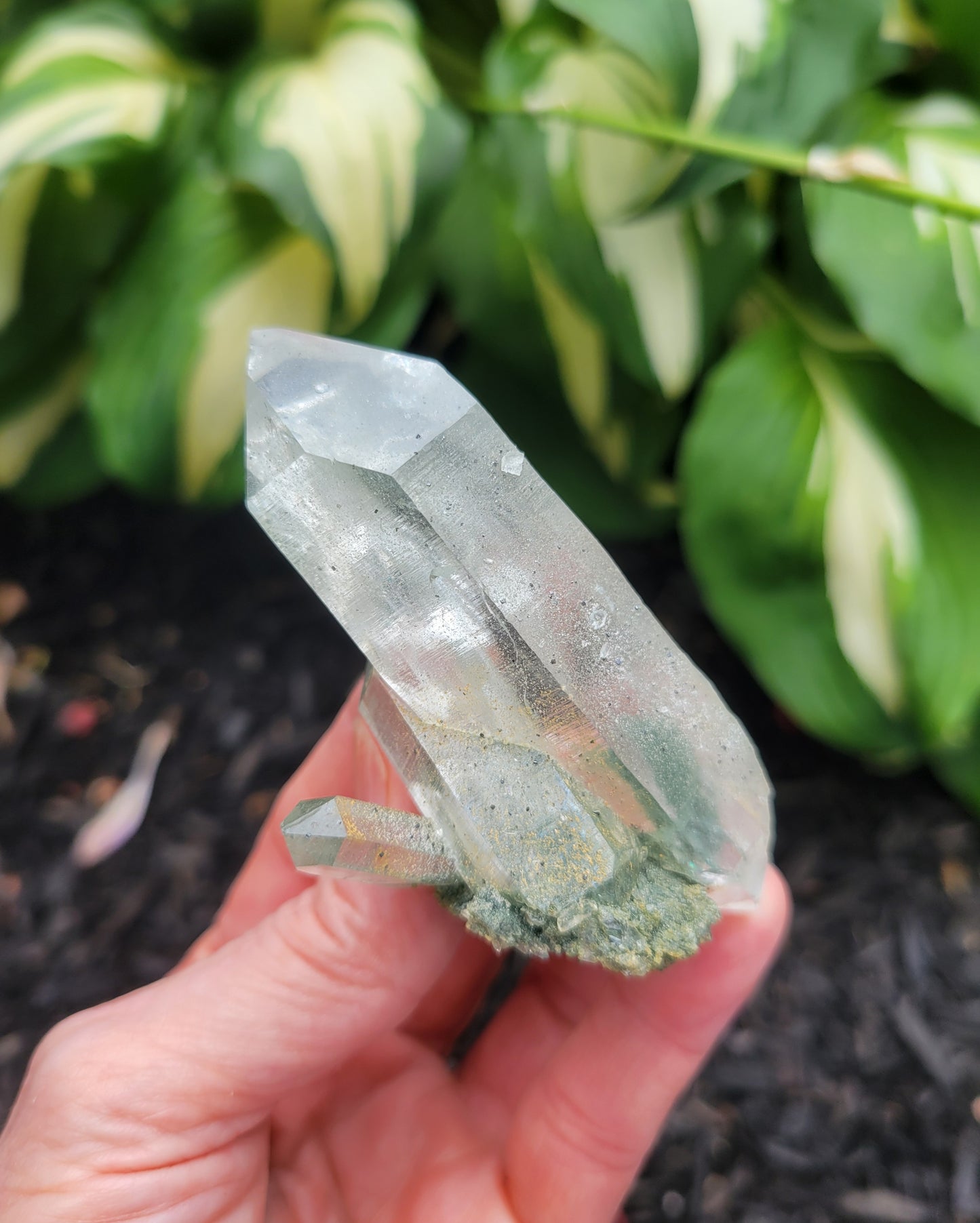 Himalayan Cathedral Quartz with Clinochlore Phantom from Himachal Pradesh, India