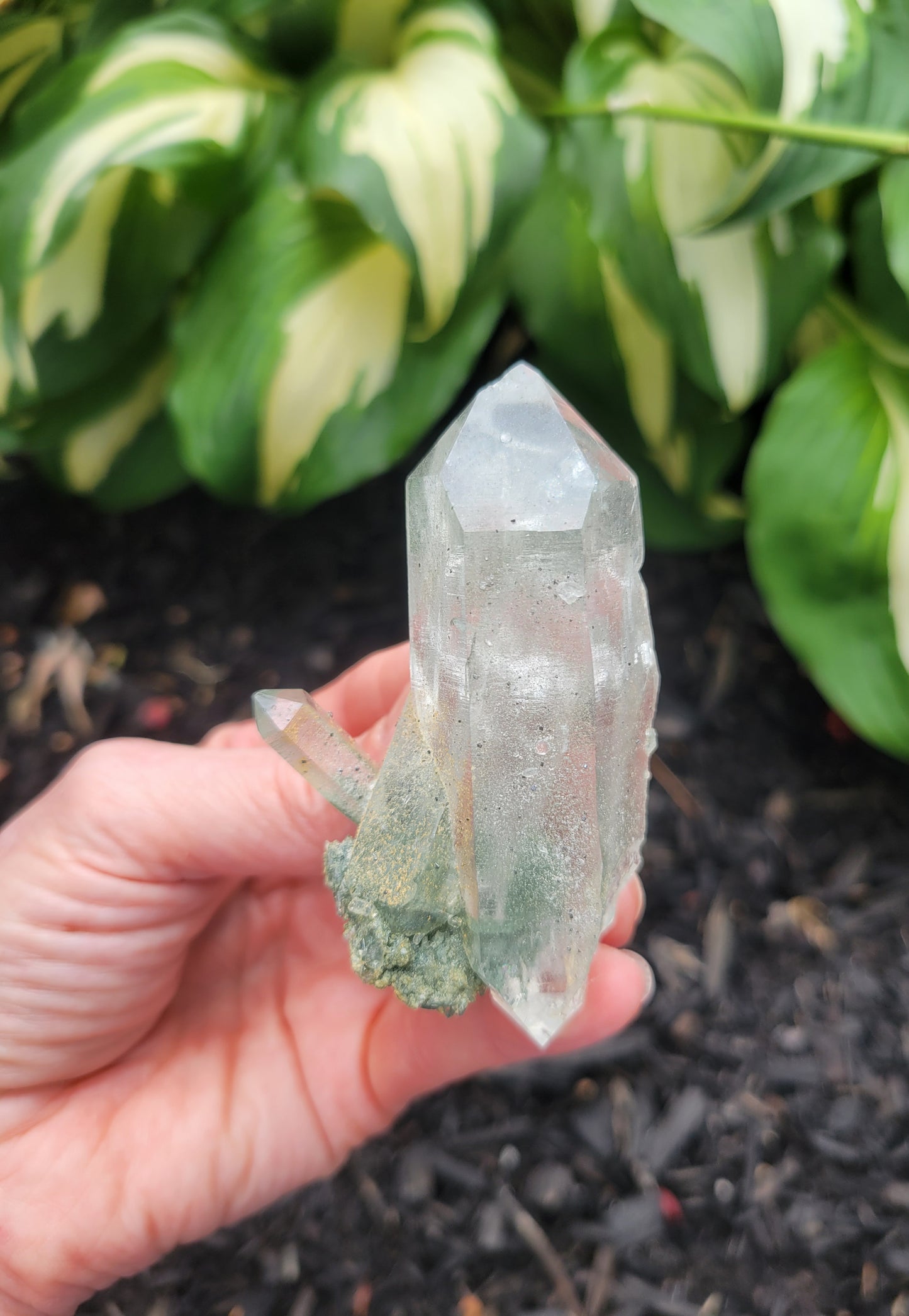 Himalayan Cathedral Quartz with Clinochlore Phantom from Himachal Pradesh, India