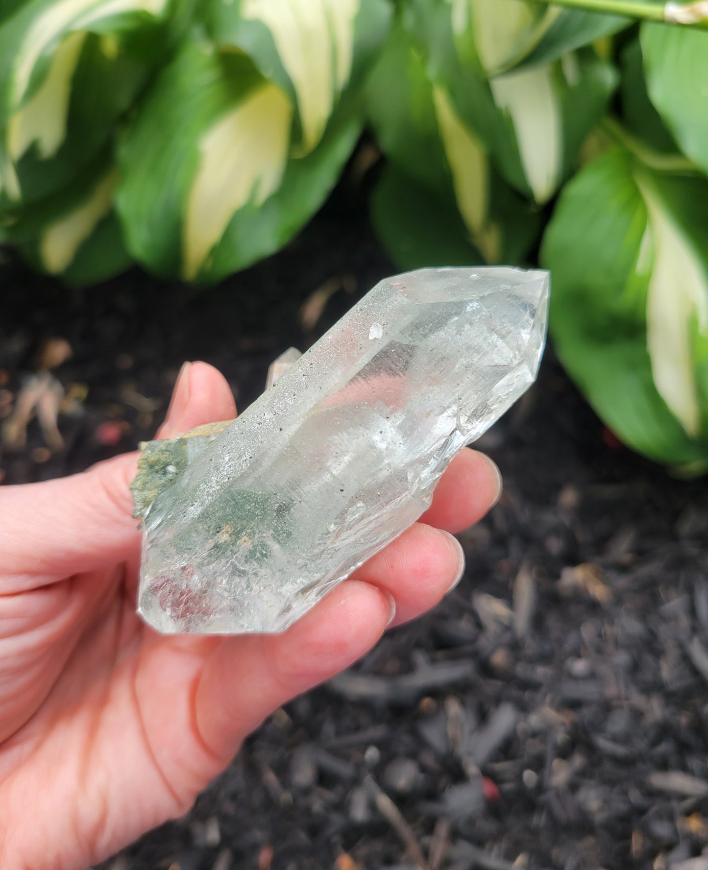 Himalayan Cathedral Quartz with Clinochlore Phantom from Himachal Pradesh, India