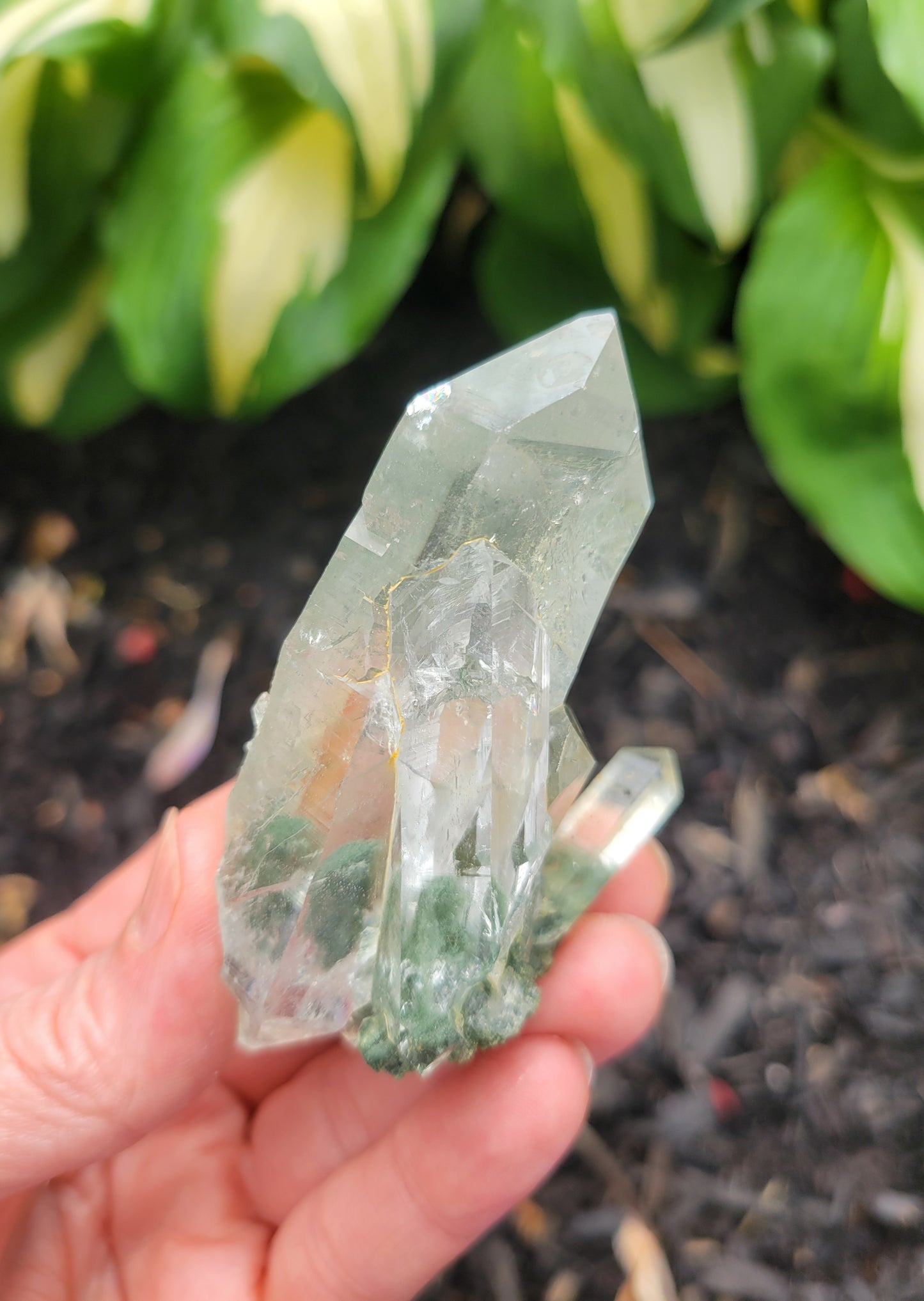 Himalayan Cathedral Quartz with Clinochlore Phantom from Himachal Pradesh, India