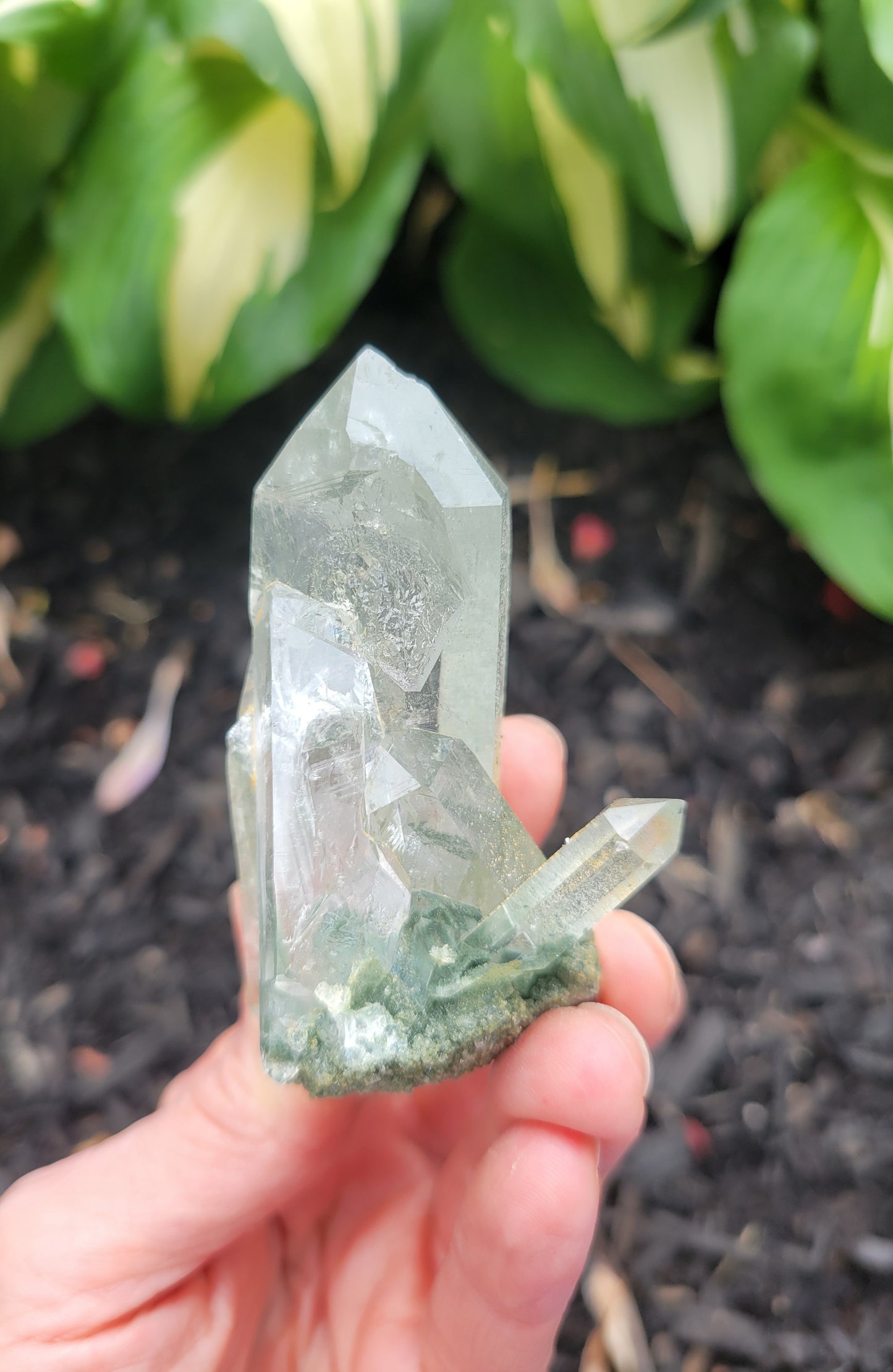 Himalayan Cathedral Quartz with Clinochlore Phantom from Himachal Pradesh, India