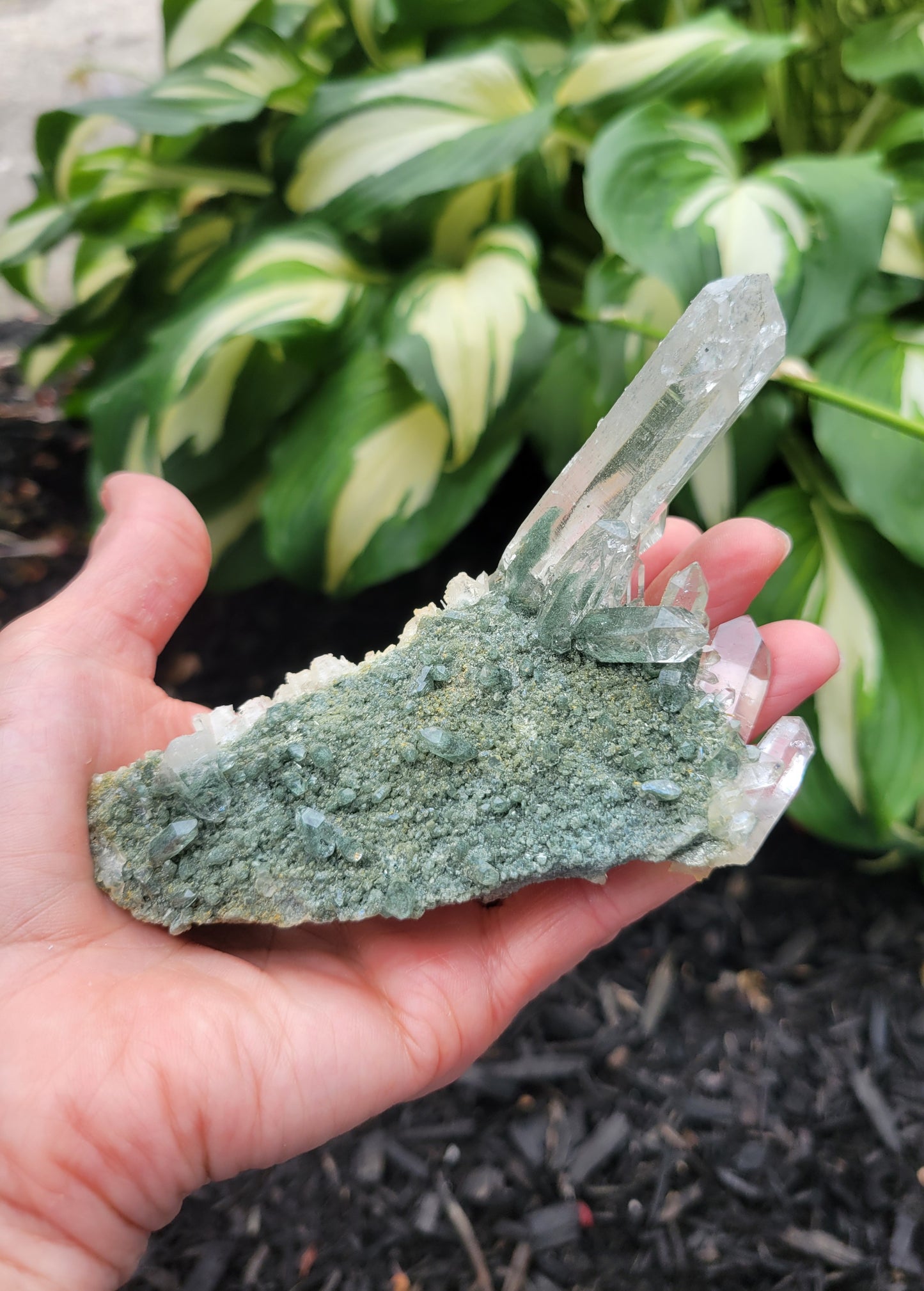 Himalayan Quartz Cluster with Clinochlore Phantoms and Anatase from Himachal Pradesh, India