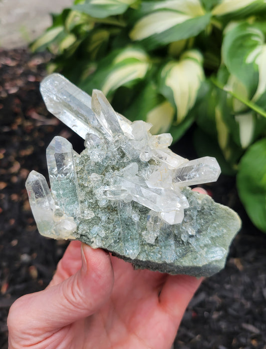 Himalayan Quartz Cluster with Clinochlore Phantoms and Anatase from Himachal Pradesh, India