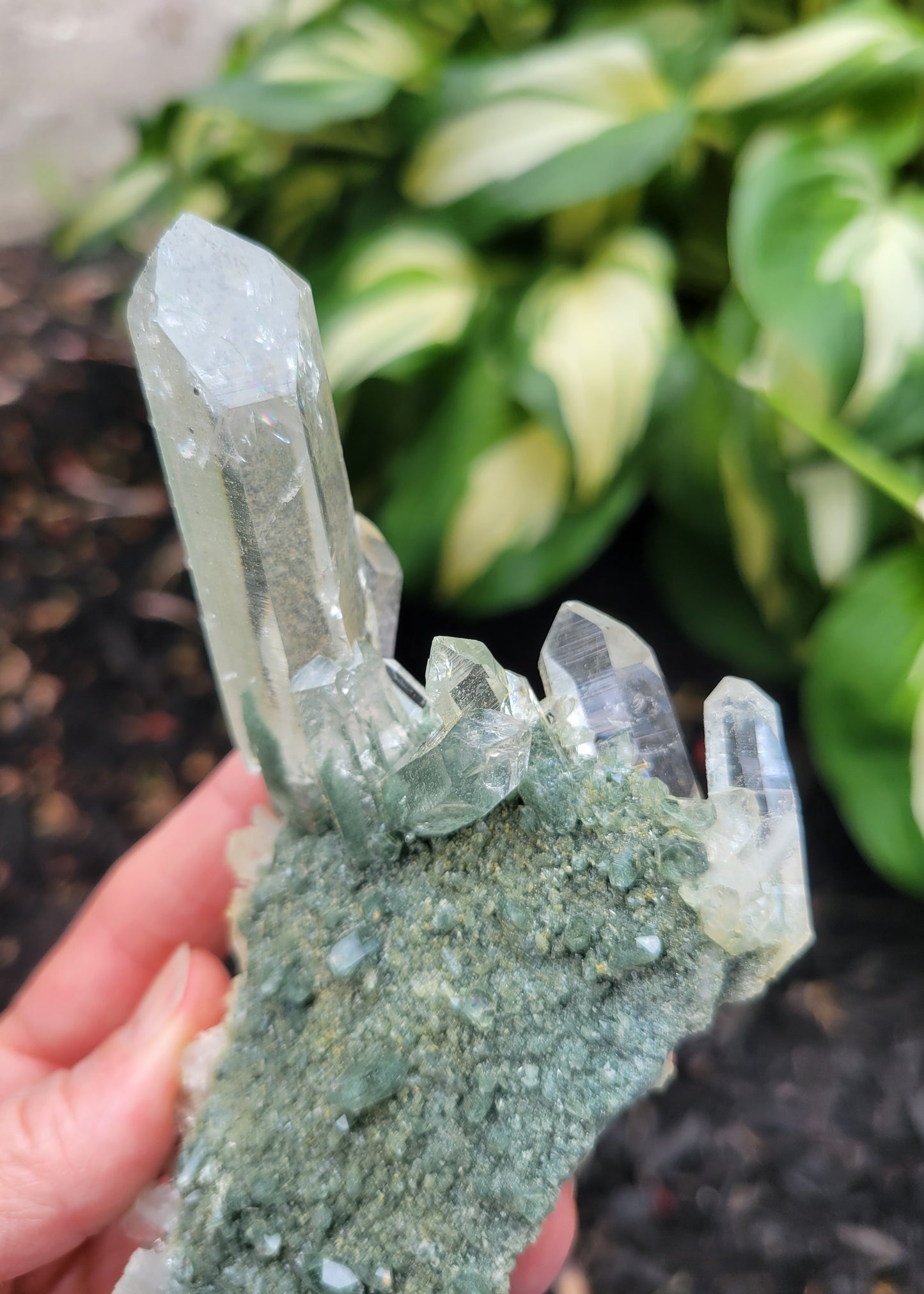 Himalayan Quartz Cluster with Clinochlore Phantoms and Anatase from Himachal Pradesh, India