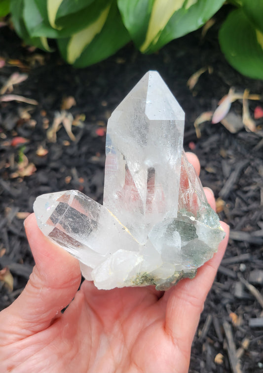 Himalayan Quartz Cluster with Clinochlore from Himachal Pradesh, India
