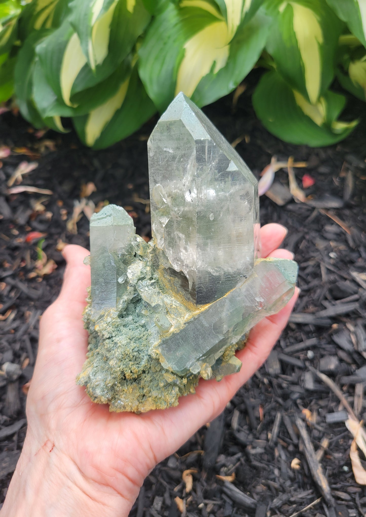 Himalayan Cathedral Quartz Cluster with Clinochlore from Himachal Pradesh, India