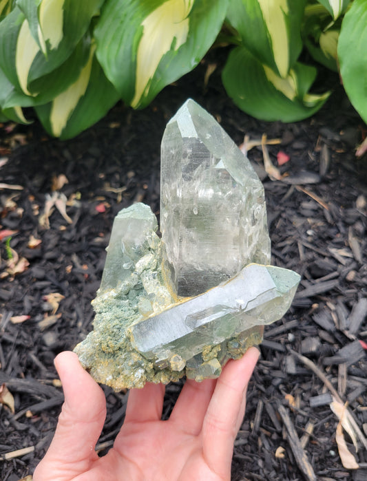 Himalayan Cathedral Quartz Cluster with Clinochlore from Himachal Pradesh, India