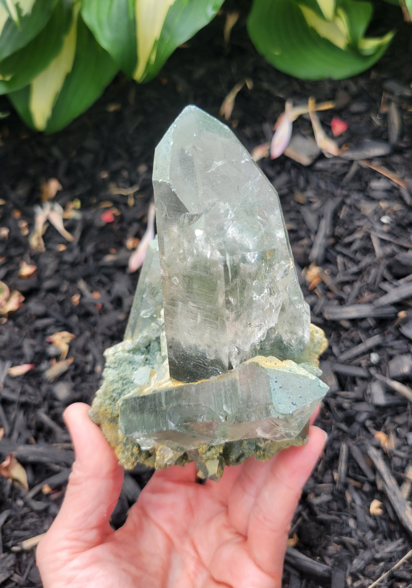 Himalayan Cathedral Quartz Cluster with Clinochlore from Himachal Pradesh, India