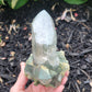 Himalayan Cathedral Quartz Cluster with Clinochlore from Himachal Pradesh, India