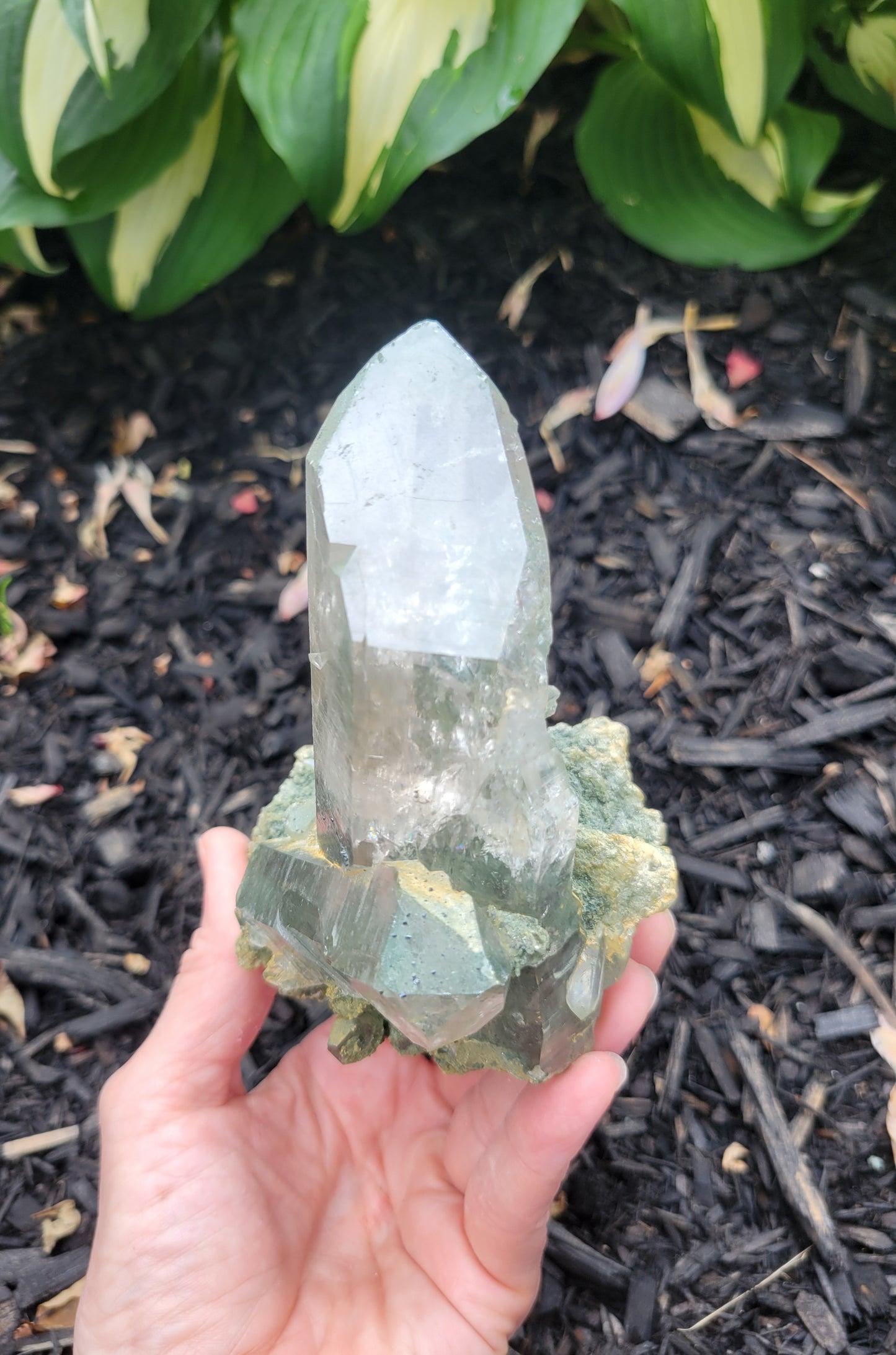 Himalayan Cathedral Quartz Cluster with Clinochlore from Himachal Pradesh, India