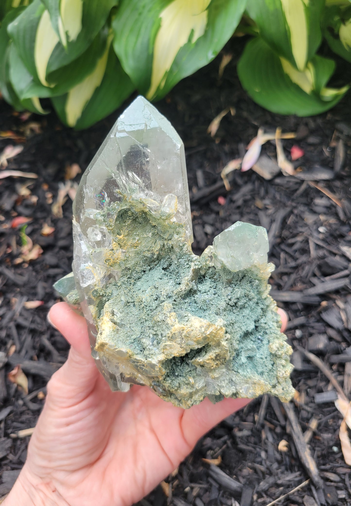 Himalayan Cathedral Quartz Cluster with Clinochlore from Himachal Pradesh, India