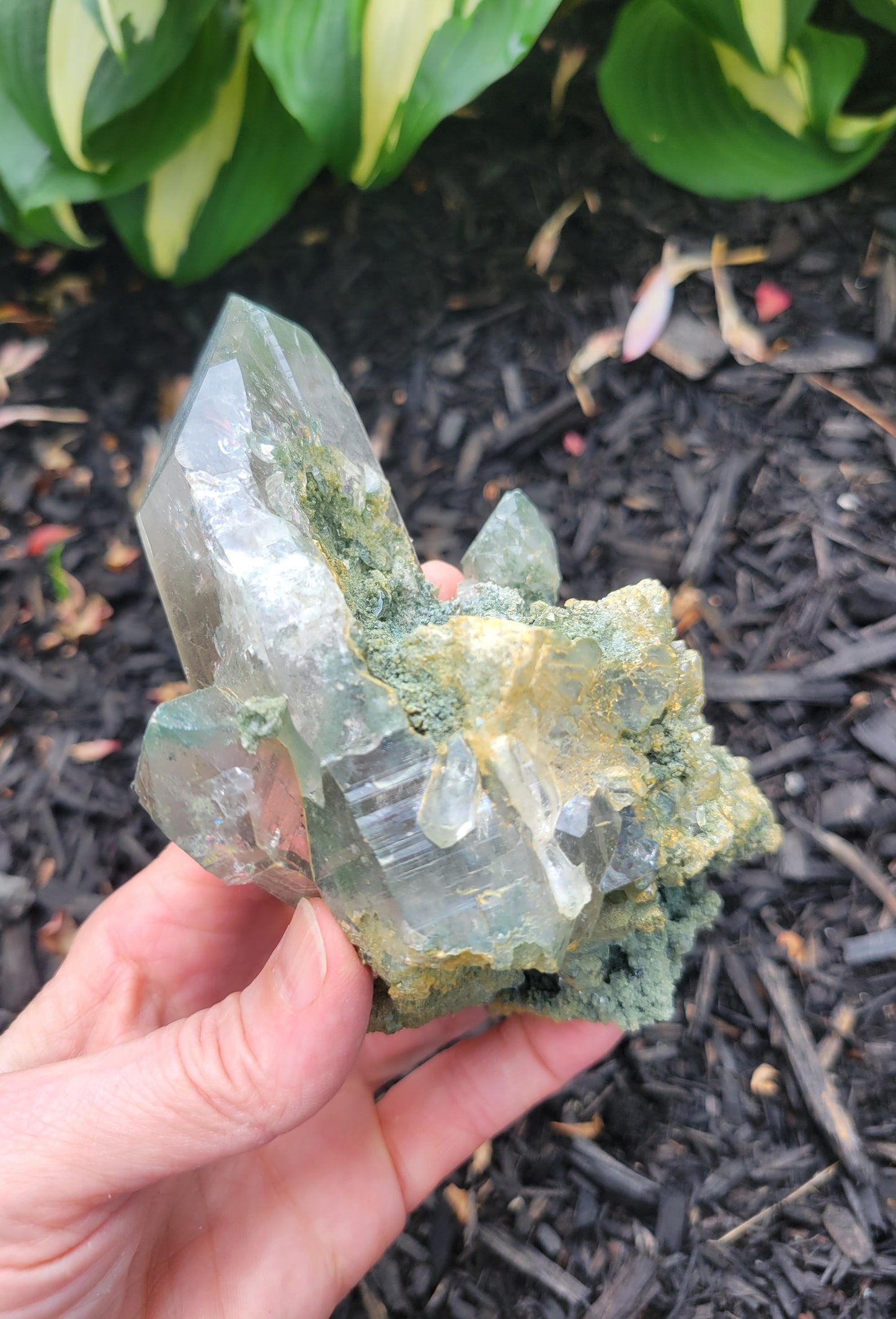 Himalayan Cathedral Quartz Cluster with Clinochlore from Himachal Pradesh, India