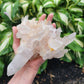 Himalayan Samadhi Quartz from Himachal Pradesh, India