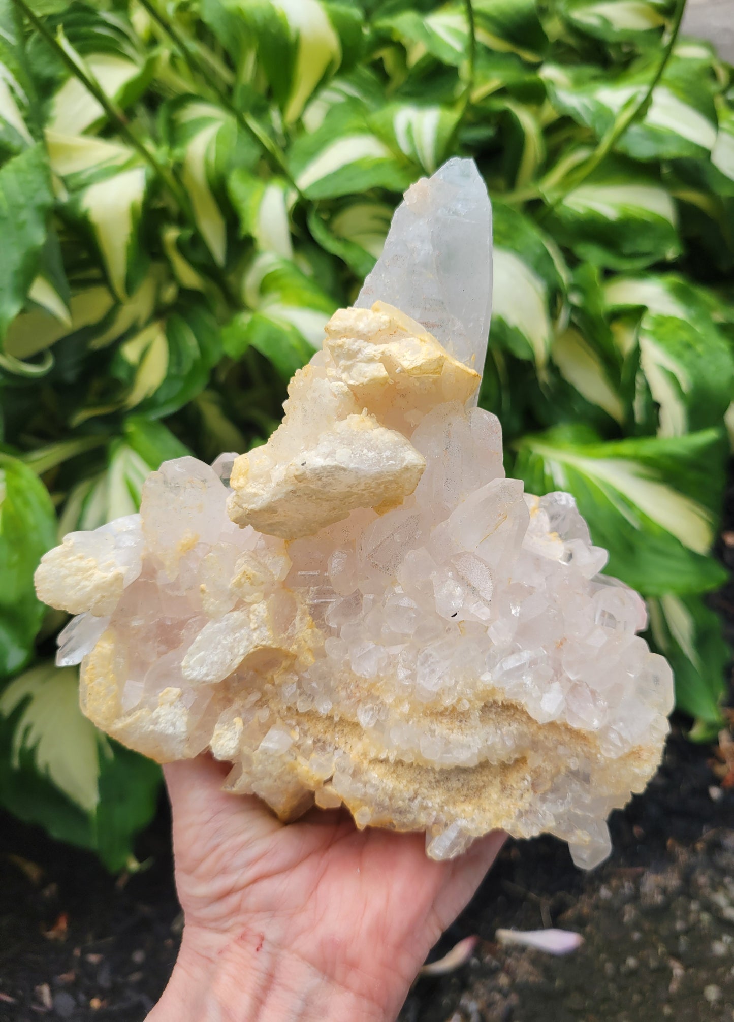 Himalayan Samadhi Quartz from Himachal Pradesh, India