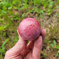 Thulite Sphere from Norway