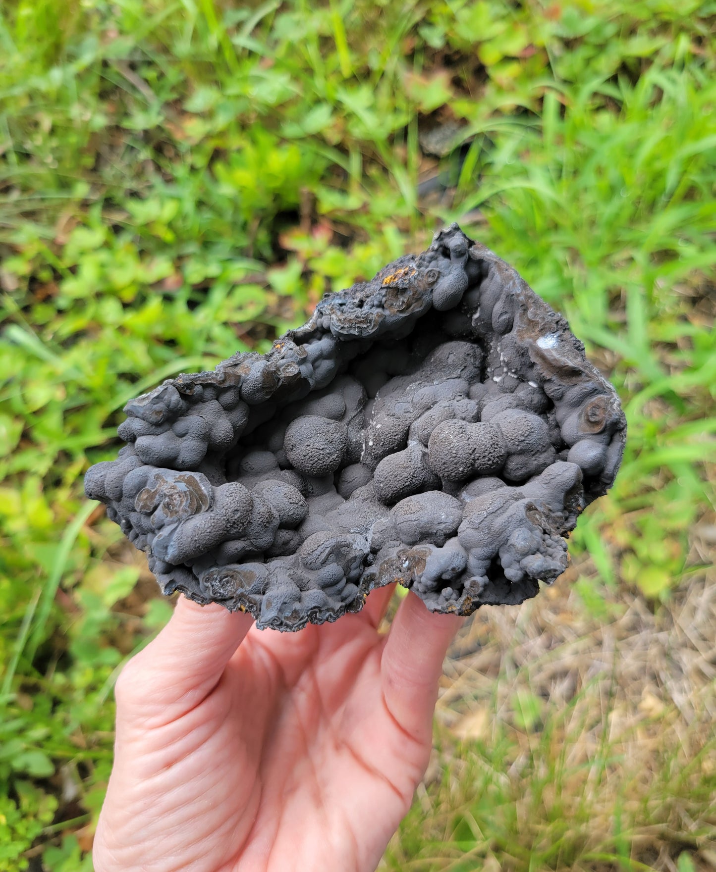 Botryoidal Hematite with Goethite and Limonite from Morocco