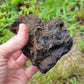 Botryoidal Hematite with Goethite and Limonite from Morocco