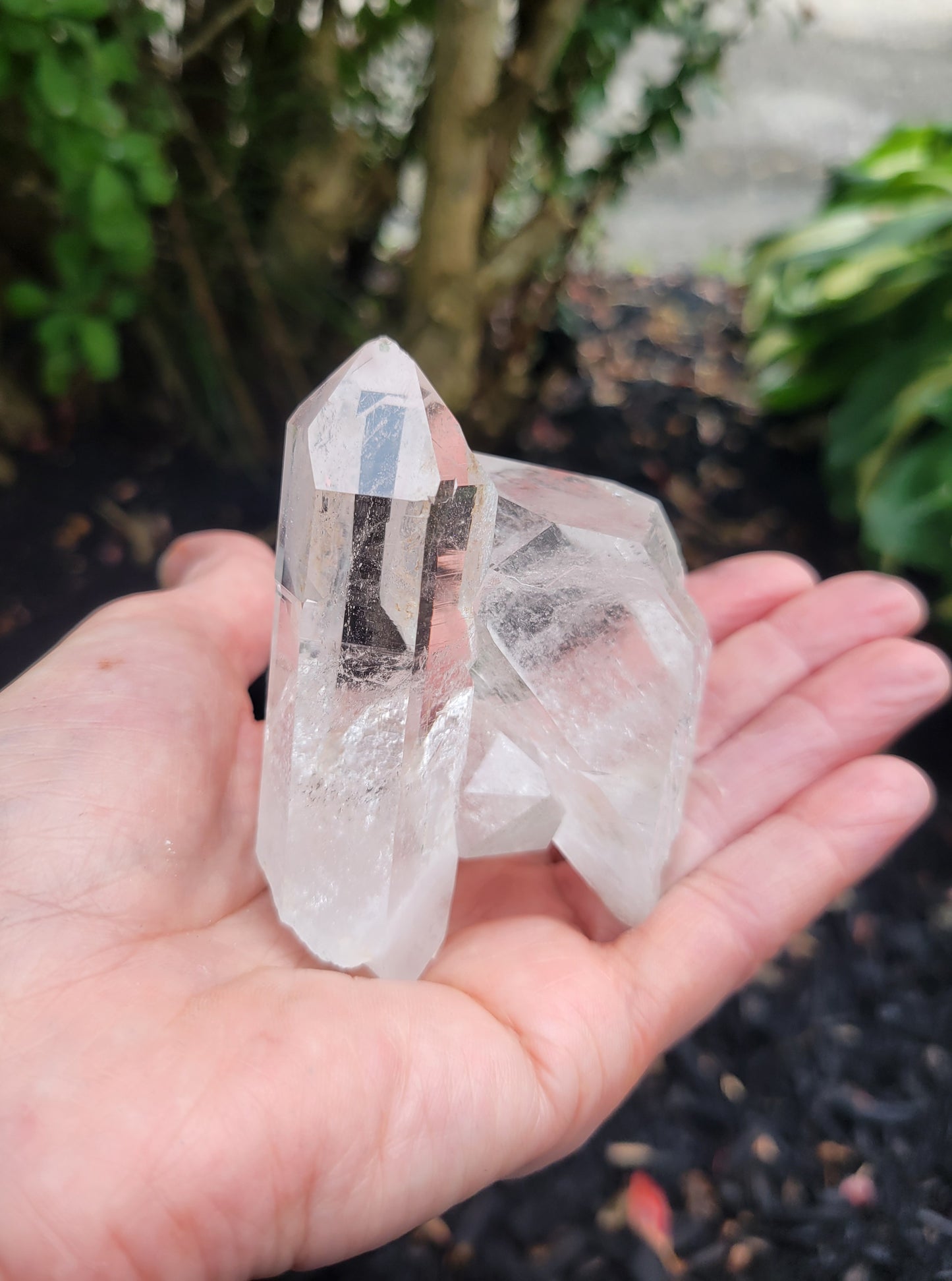 Himalayan Cathedral Quartz Cluster from Himachal Pradesh, India