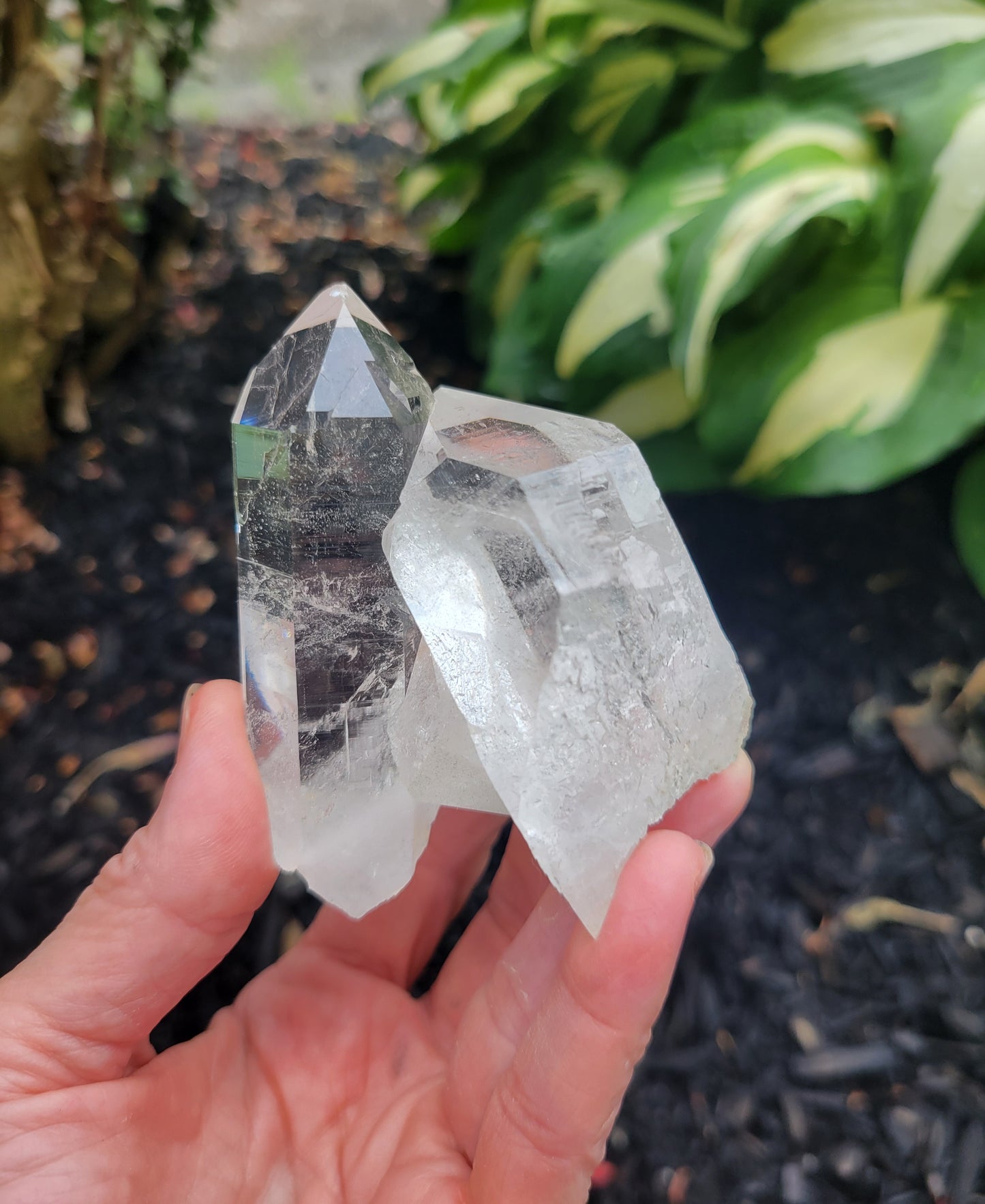 Himalayan Cathedral Quartz Cluster from Himachal Pradesh, India