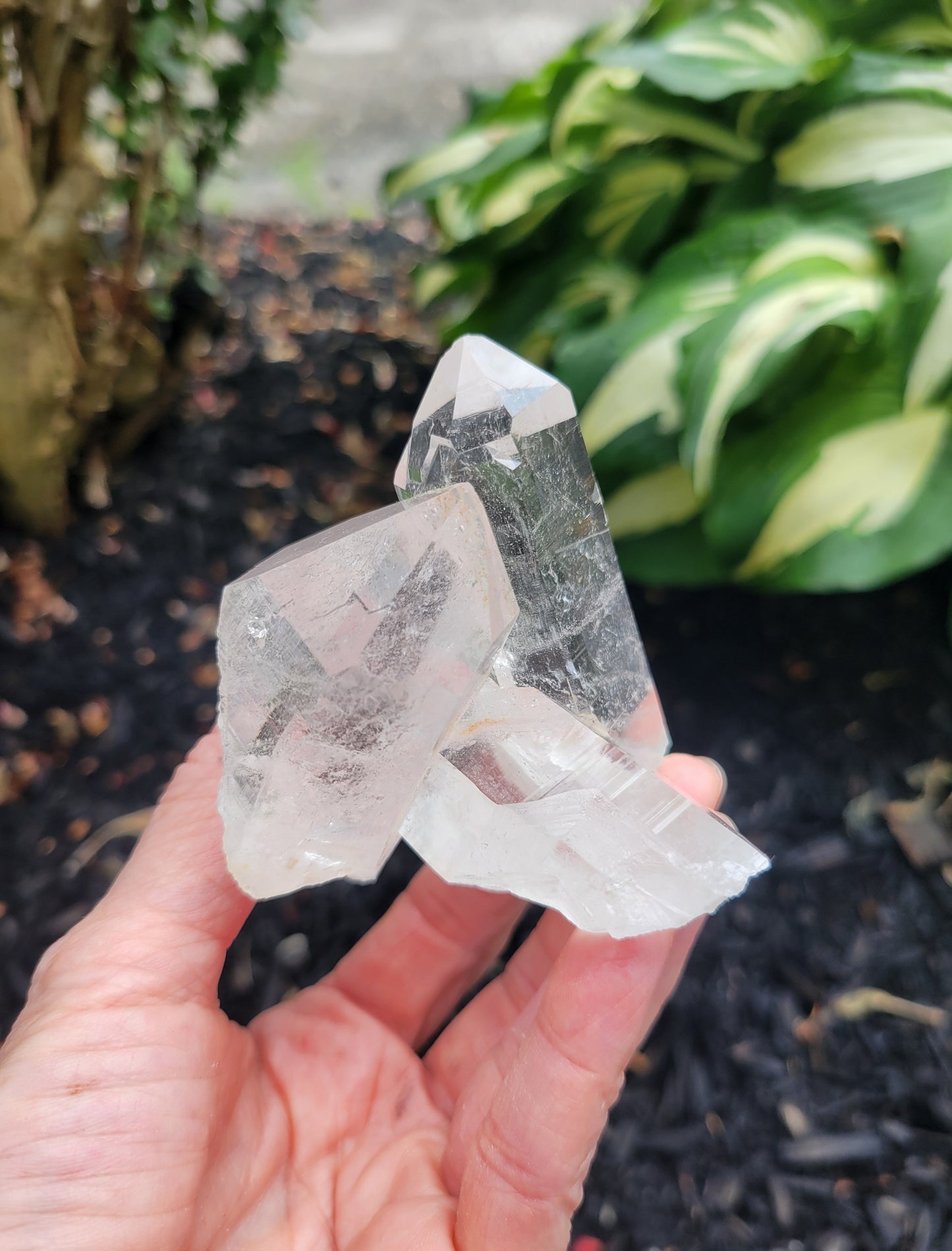 Himalayan Cathedral Quartz Cluster from Himachal Pradesh, India