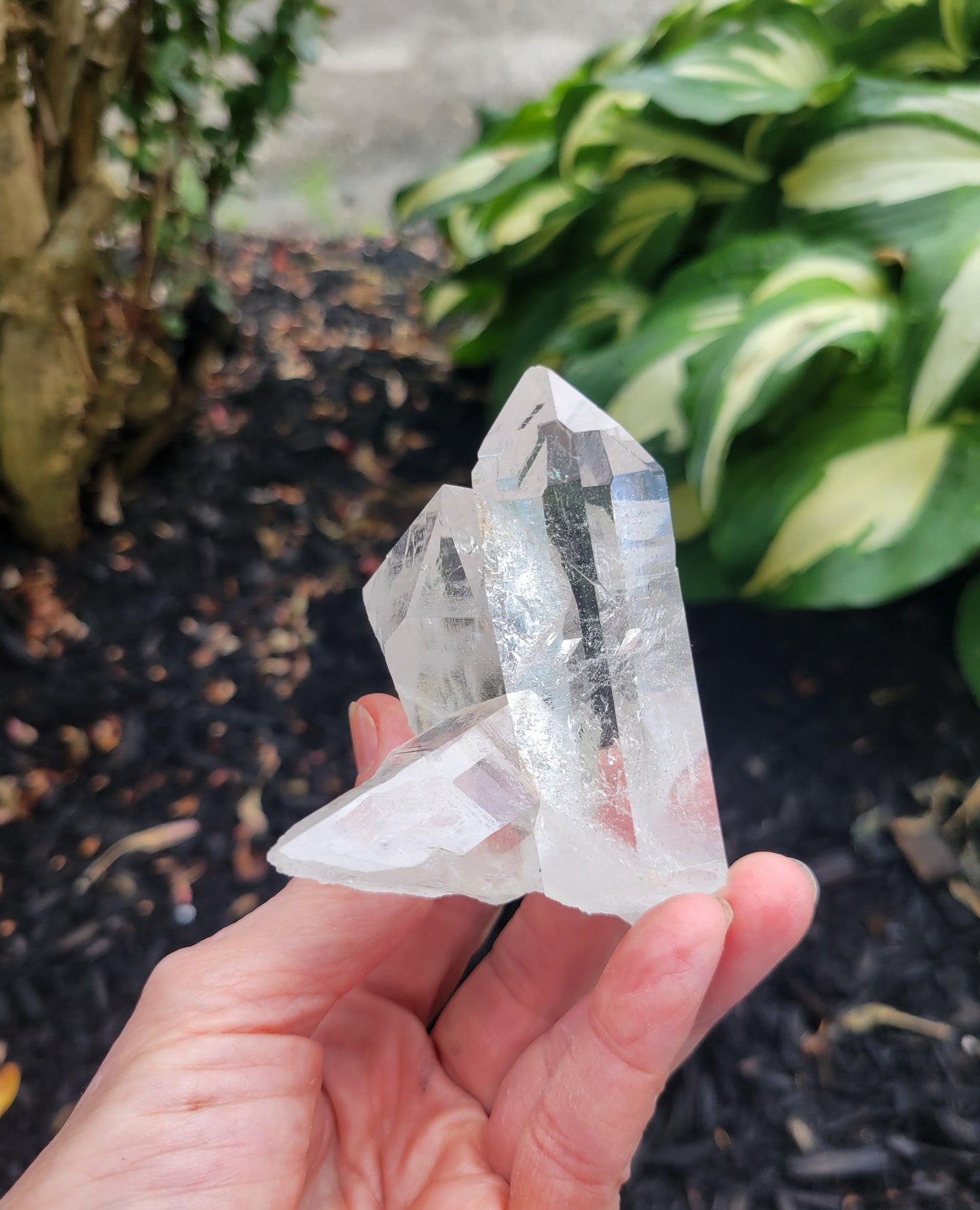 Himalayan Cathedral Quartz Cluster from Himachal Pradesh, India