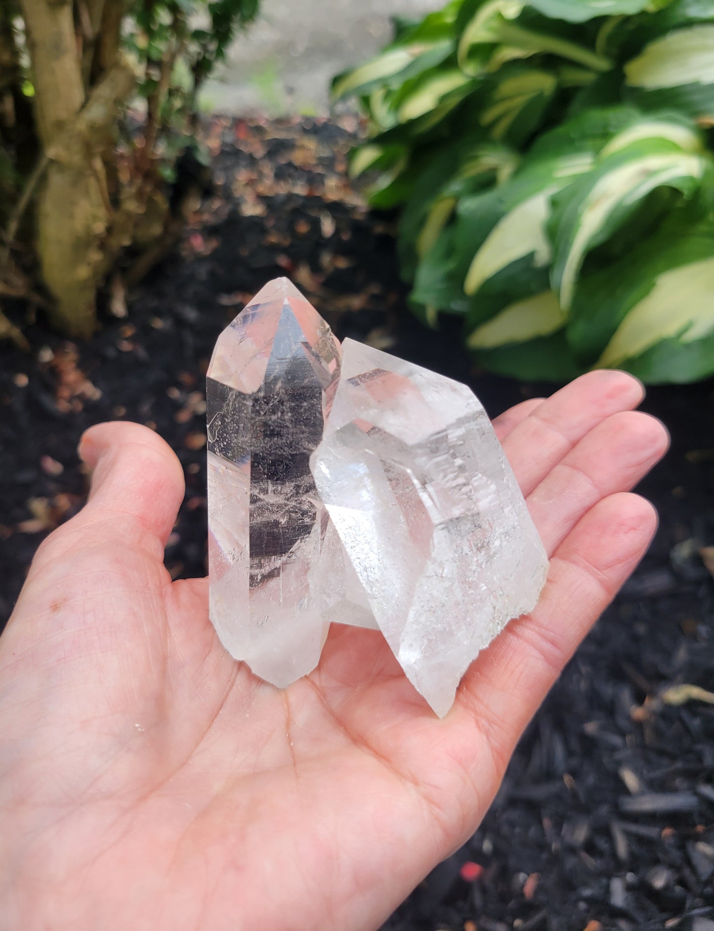 Himalayan Cathedral Quartz Cluster from Himachal Pradesh, India