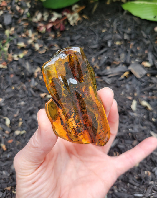 Amber from Lithuania