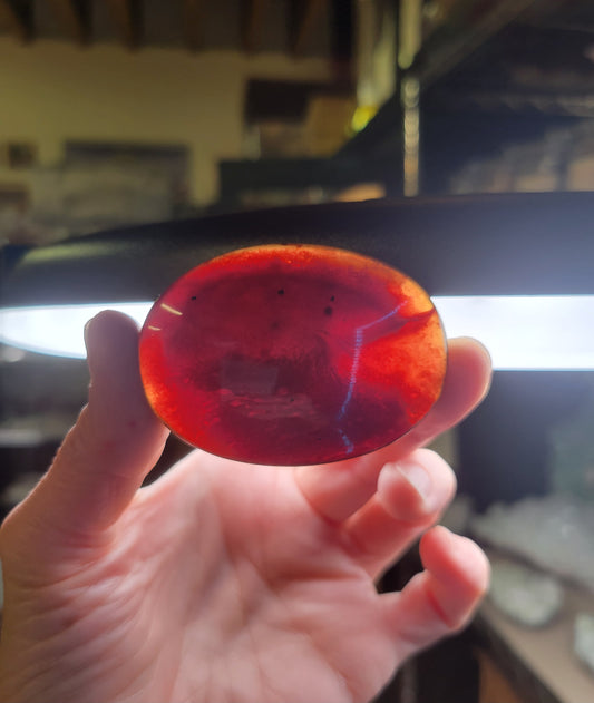 Amber Palm Stone from Indonesia