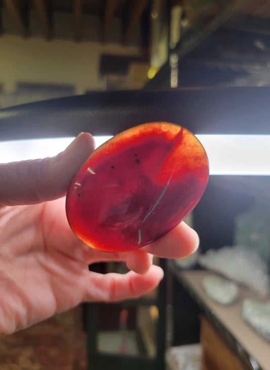 Amber Palm Stone from Indonesia