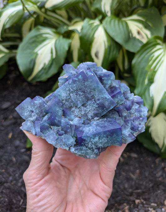 Fluorite from the Naughty Gnome Pocket, Diana Maria Mine, Frosterly Weardale, Co. Durham, England