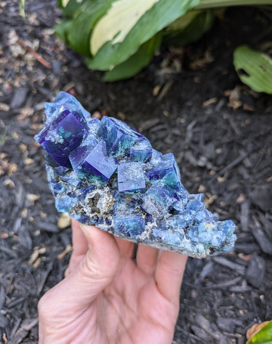 Fluorite from the Hidden Forest Pocket, Diana Maria Mine, Frosterly Weardale, Co. Durham, England