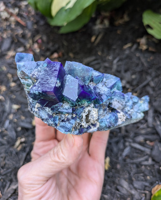 Fluorite from the Hidden Forest Pocket, Diana Maria Mine, Frosterly Weardale, Co. Durham, England