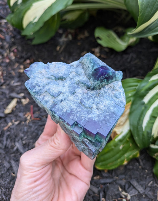 Fluorite from the Naughty Gnome Pocket, Diana Maria Mine, Frosterly Weardale, Co. Durham, England