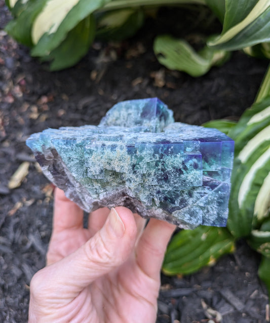 Fluorite from the Naughty Gnome Pocket, Diana Maria Mine, Frosterly Weardale, Co. Durham, England