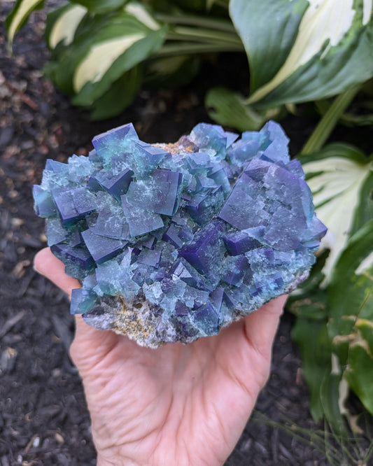 Fluorite from the Naughty Gnome Pocket, Diana Maria Mine, Frosterly Weardale, Co. Durham, England