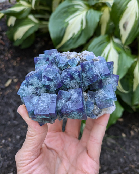 Fluorite and Quartz from the Naughty Gnome Pocket, Diana Maria Mine, Frosterly Weardale, Co. Durham, England