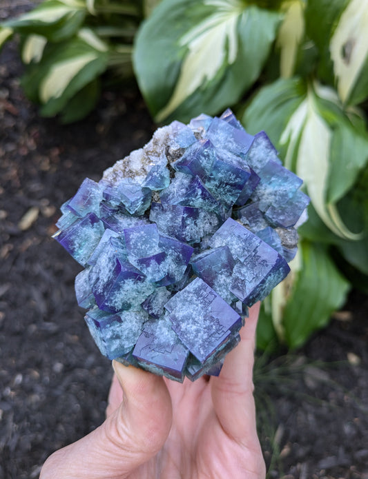 Fluorite and Quartz from the Naughty Gnome Pocket, Diana Maria Mine, Frosterly Weardale, Co. Durham, England