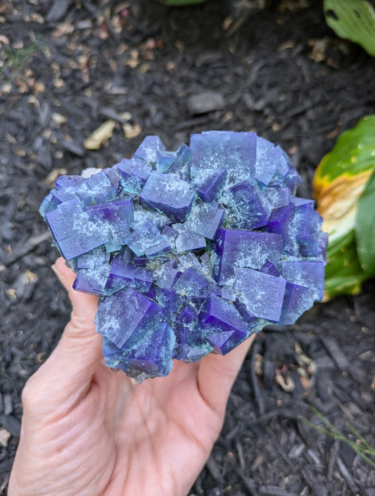 Fluorite from the Naughty Gnome Pocket, Diana Maria Mine, Frosterly Weardale, Co. Durham, England