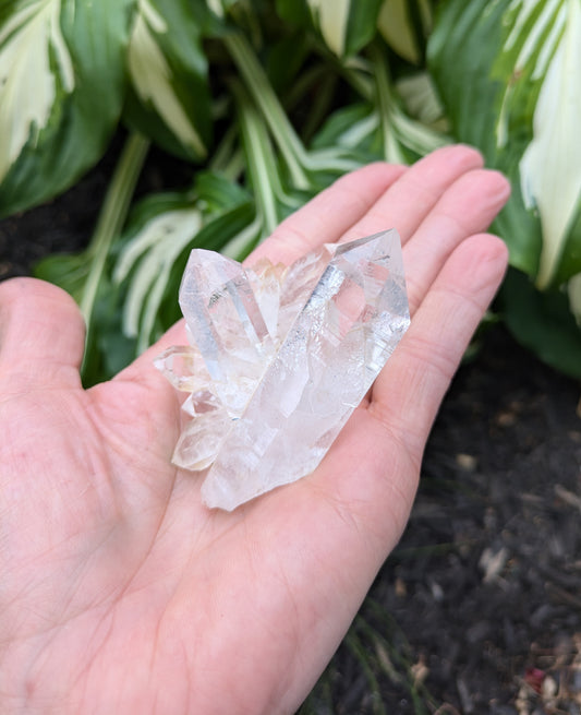 Himalayan Cathedral Quartz Cluster from Himachal Pradesh, India