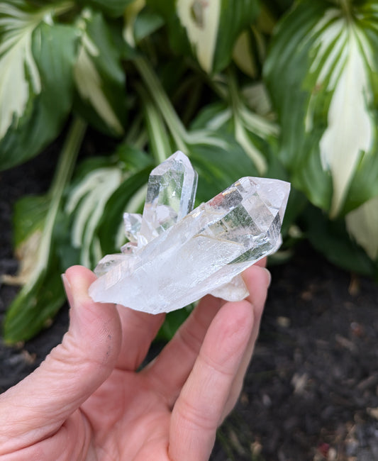 Himalayan Cathedral Quartz Cluster from Himachal Pradesh, India