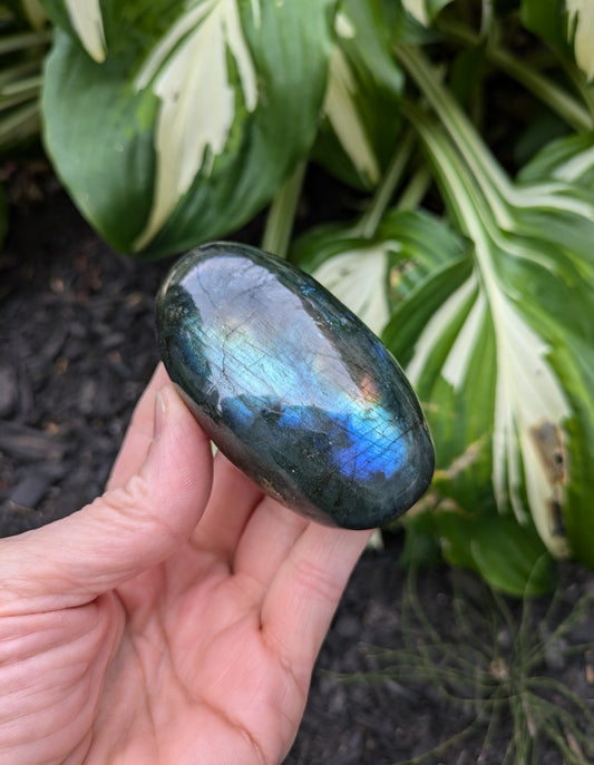 Labradorite Palm Stone from Madagascar