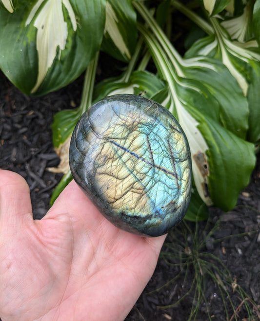 Labradorite Palm Stone XL from Madagascar